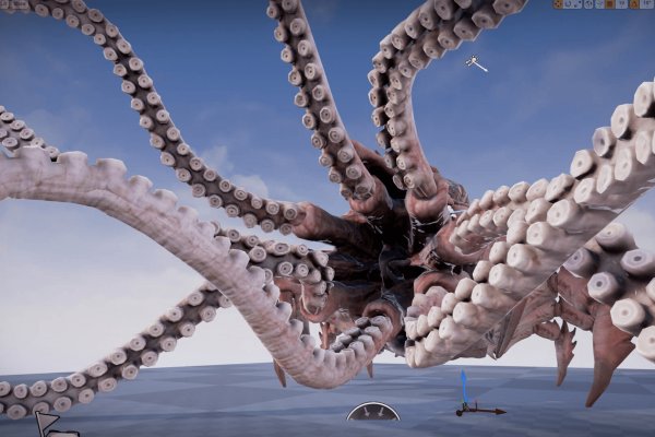 Kraken kraken link24 info