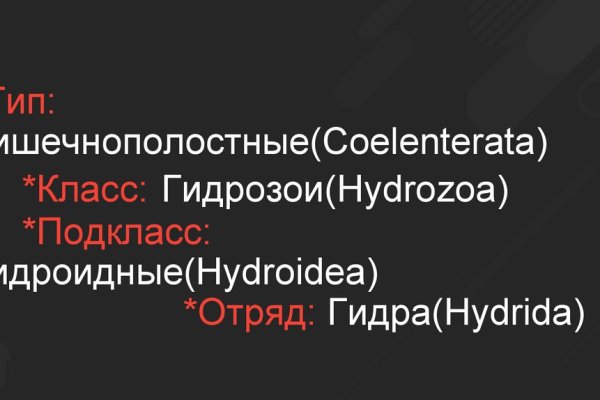 Кракен сайт зеркало рабочее на сегодня