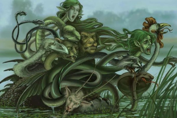 Kraken 12at