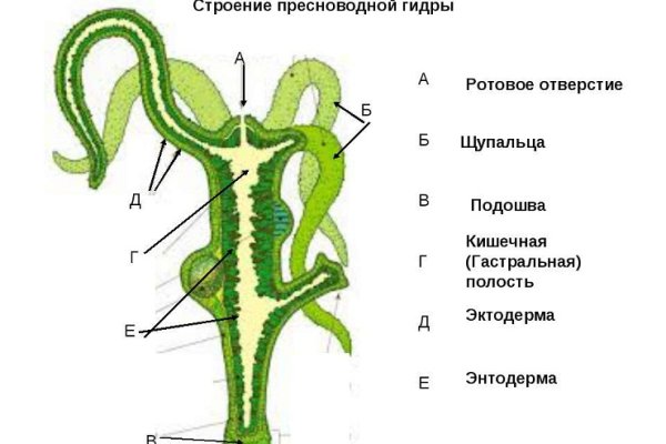 Актуальная ссылка на кракен kraken014 com