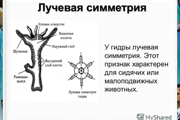 Кракен сайт ссылка